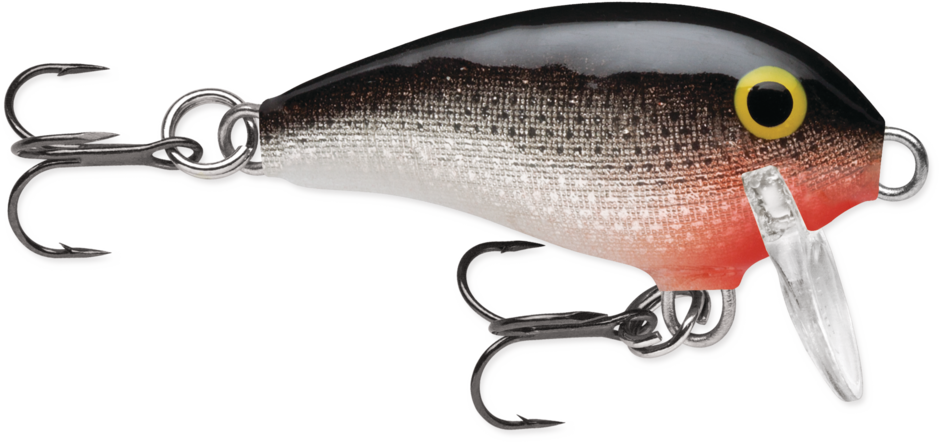 Rapala Mini Fat Rap Lure