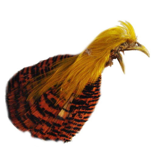 Turrall Golden Pheasant