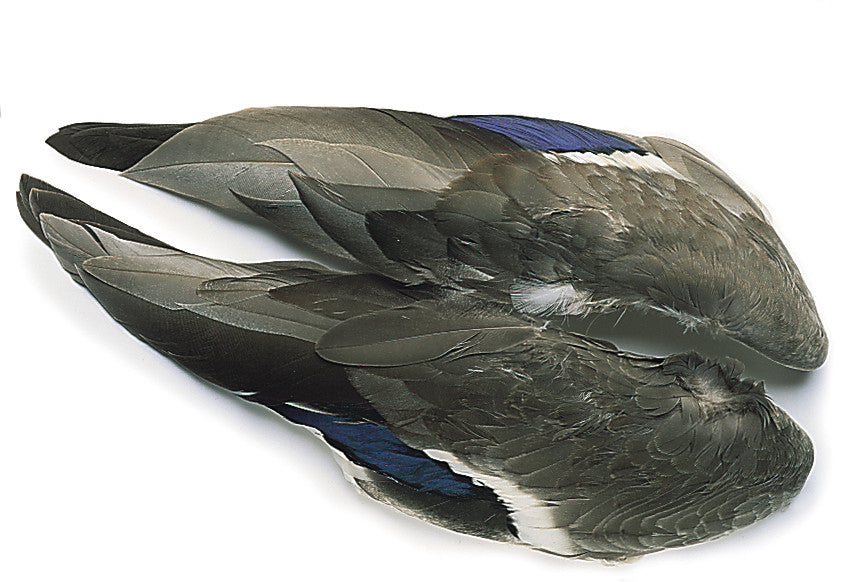 Veniard Mallard Duck Wings